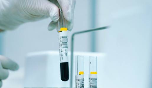 Pharmacelera recauda 6 millones de euros para expandirse en EE.UU.